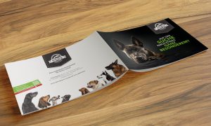 Print – AktivDog Schweiz